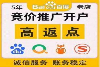 百度竞价运营的挑战与机遇：成功案例探讨